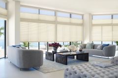 Hunter Douglas Duette DuoLite