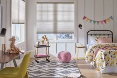 Hunter Douglas Applause