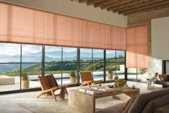 Hunter Douglas Duette Architella