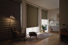 Hunter Douglas Pirouette