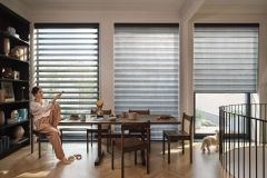 Hunter Douglas Pirouette
