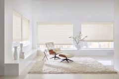 Hunter Douglas Provenance Woven Woods
