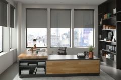 Solar Shades