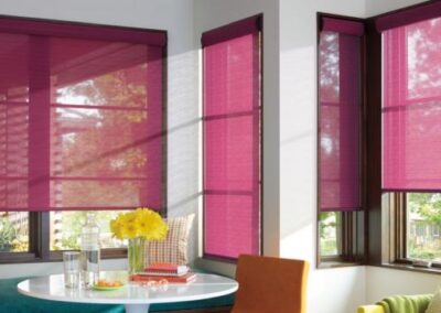 Designer Roller Shades