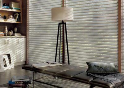 The Austria® Collection of Silhouette® Shadings