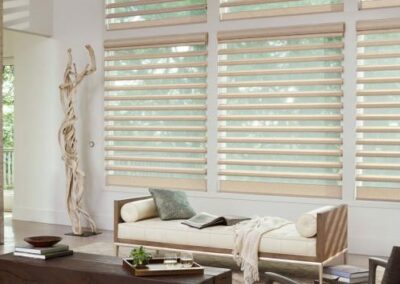 The Austria® Collection of Silhouette® Shadings