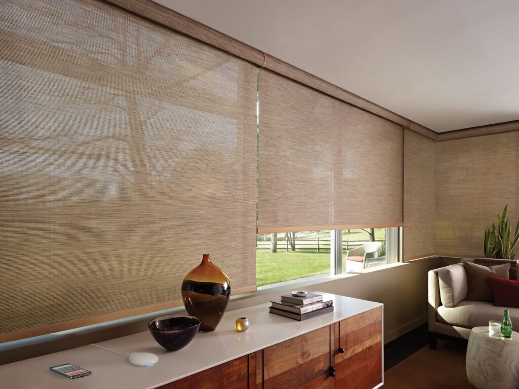 Hunter Douglas Designer Roller Screens