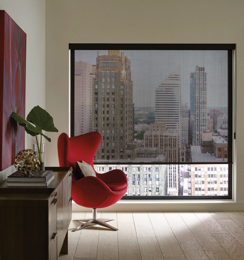 Hunter Douglas Designer Roller Screens
