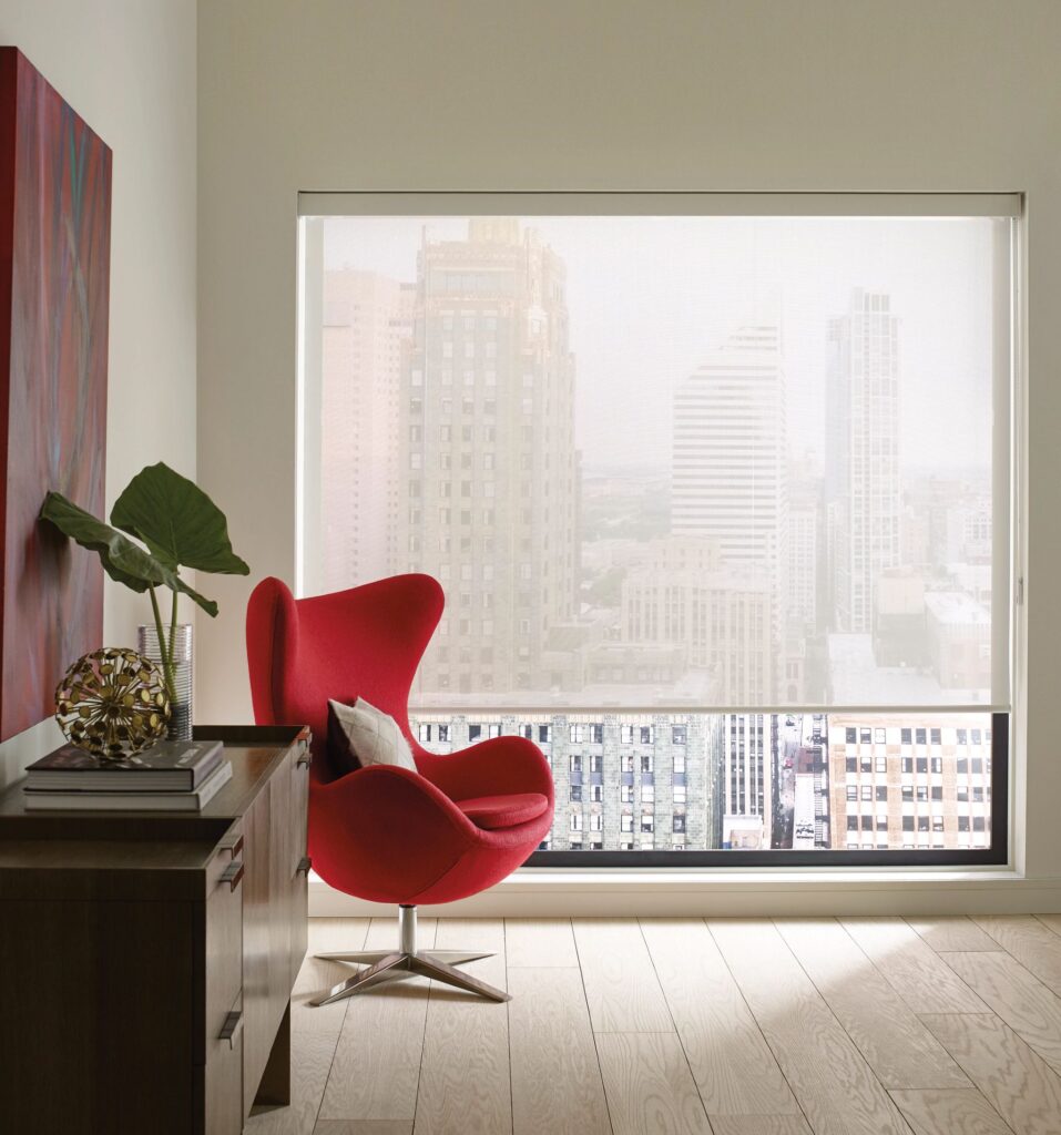 Hunter Douglas Designer Roller Screens