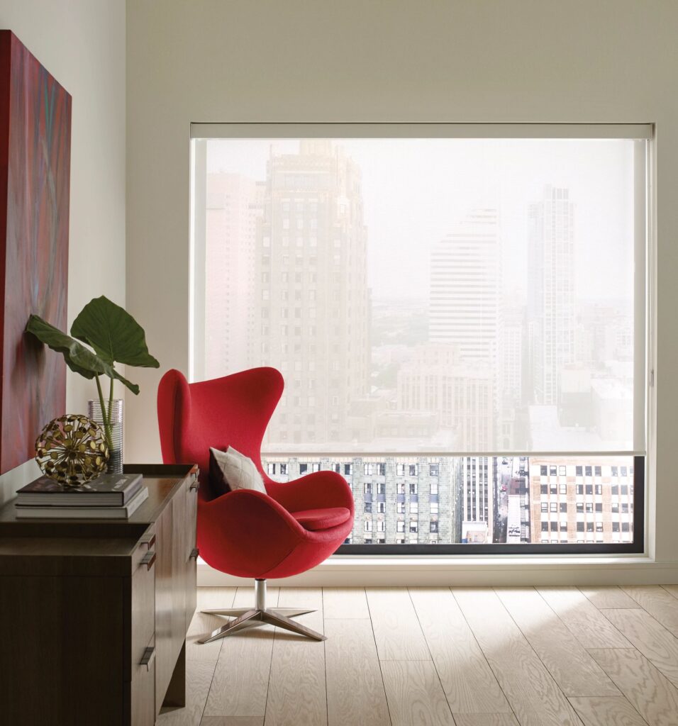 Hunter Douglas Designer Roller Screens