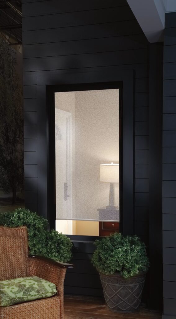 Hunter Douglas Designer Roller Screens