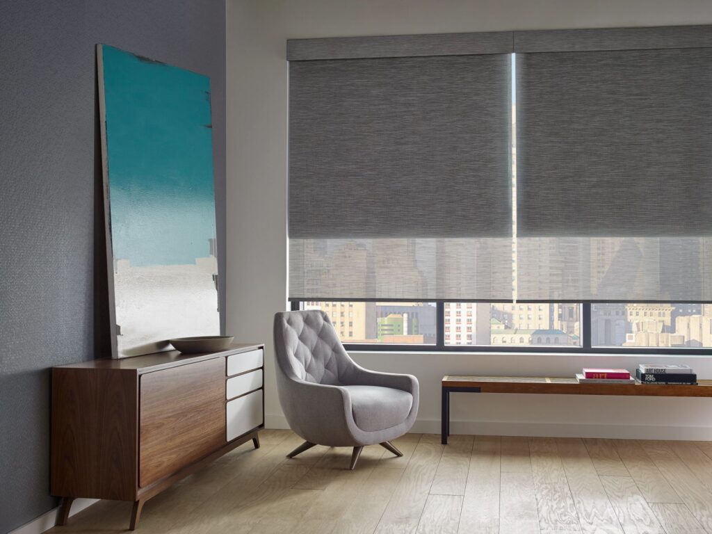 Hunter Douglas Designer Roller Screens