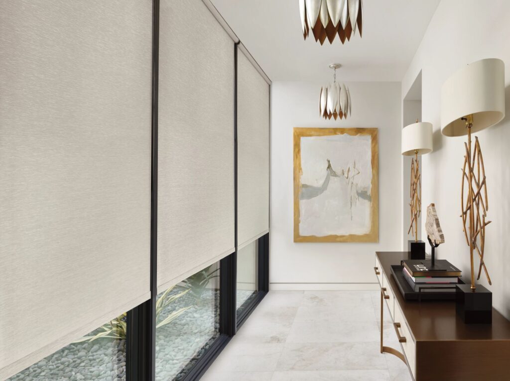 Hunter Douglas Designer Roller Screens