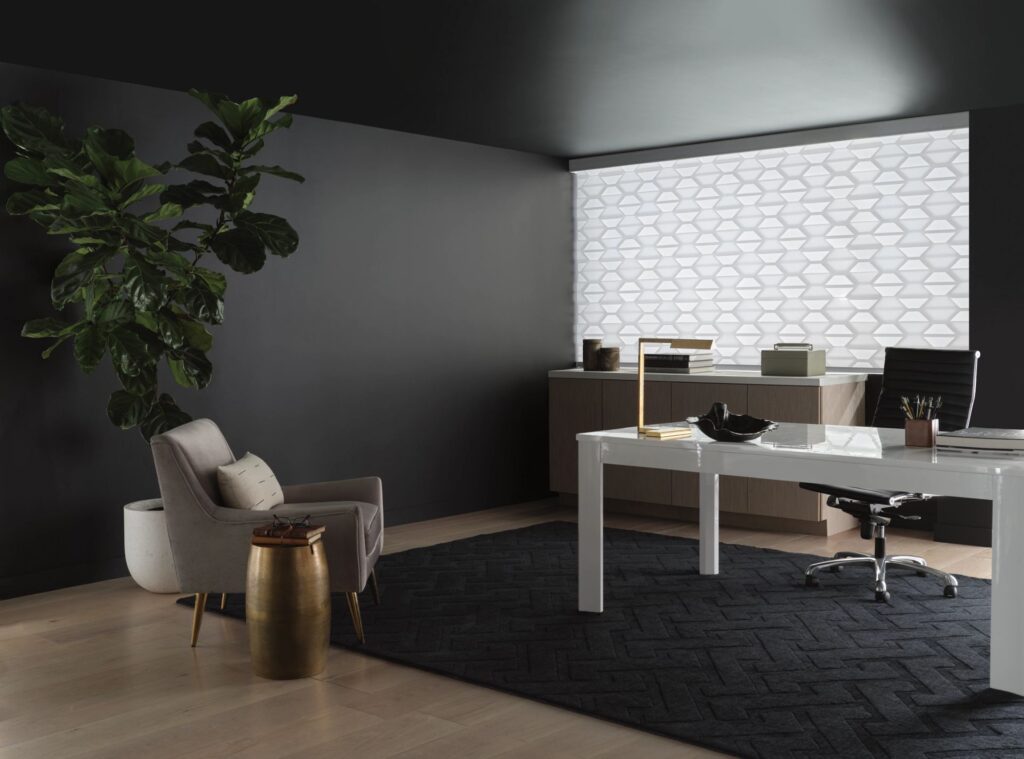 Hunter Douglas Banded Shade