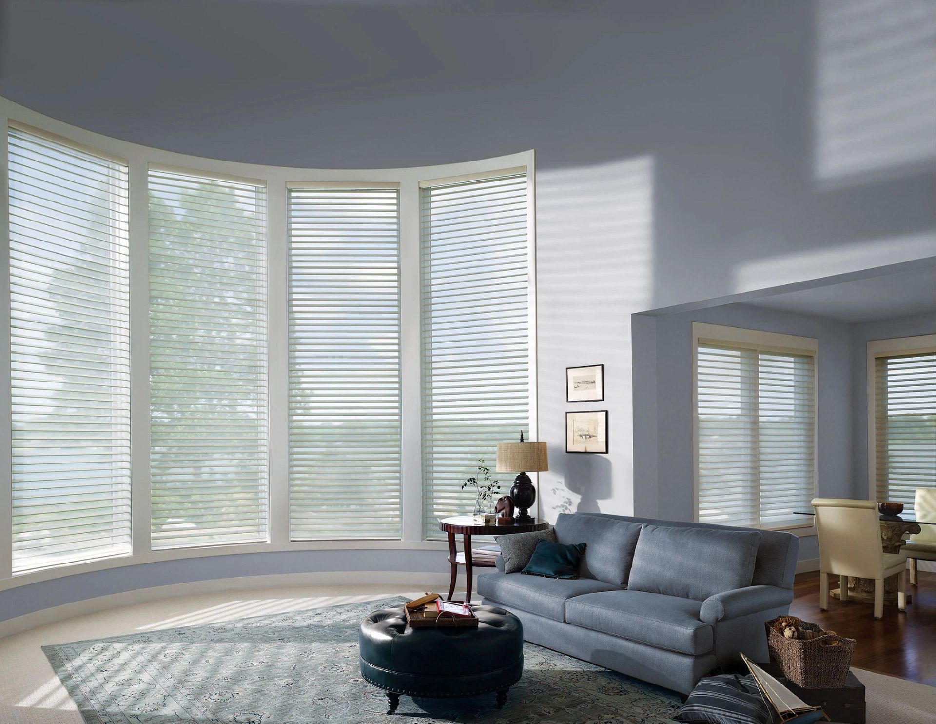 Silhouette by Hunter Douglas